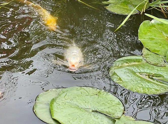 乌特菲尔豪斯酒店