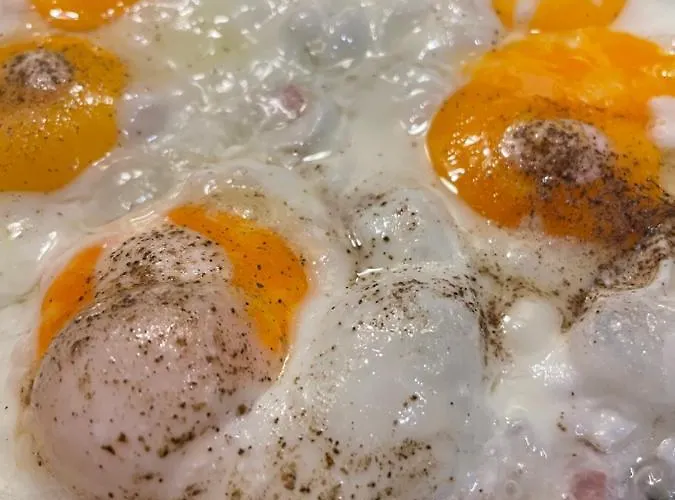 Unterfeldhaus Hotel Erkrath